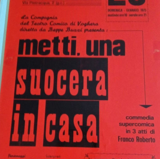 Metti una suocera in casa: locandina